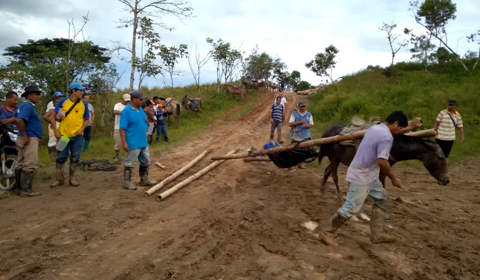 Tres hombres fueron ejecutados en una hacienda del cantón Pedernales